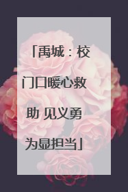 禹城：校门口暖心救助 见义勇为显担当