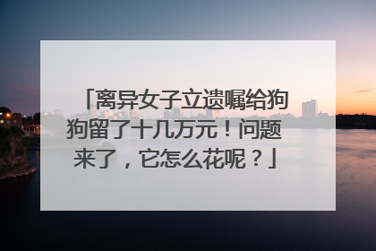 离异女子立遗嘱给狗狗留了十几万元！问题来了，它怎么花呢？