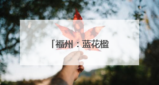 福州：蓝花楹盛开成一景