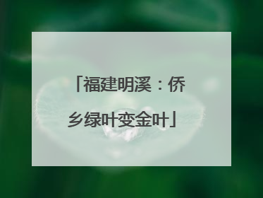 福建明溪：侨乡绿叶变金叶