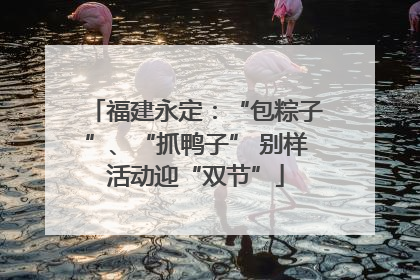 福建永定：“包粽子”、“抓鸭子” 别样活动迎“双节”