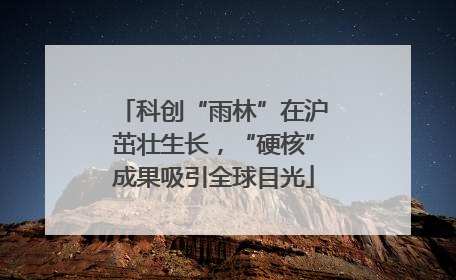 科创“雨林”在沪茁壮生长，“硬核”成果吸引全球目光