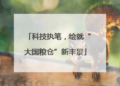 科技执笔，绘就“大国粮仓”新丰景