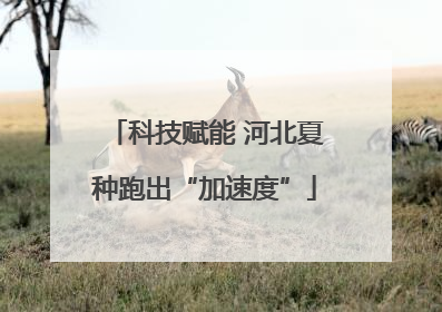 科技赋能 河北夏种跑出“加速度”