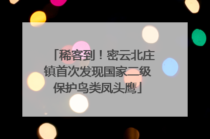 稀客到！密云北庄镇首次发现国家二级保护鸟类凤头鹰