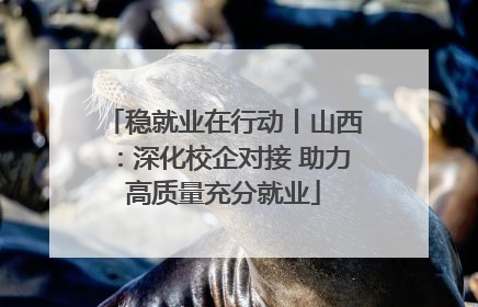 稳就业在行动丨山西：深化校企对接 助力高质量充分就业