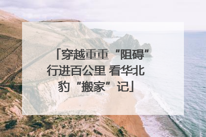 穿越重重“阻碍”行进百公里 看华北豹“搬家”记