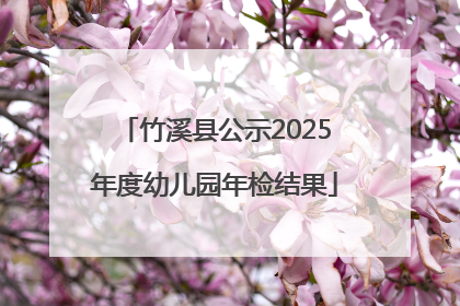 竹溪县公示2025年度幼儿园年检结果