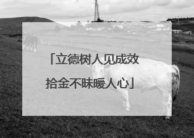 立德树人见成效 拾金不昧暖人心