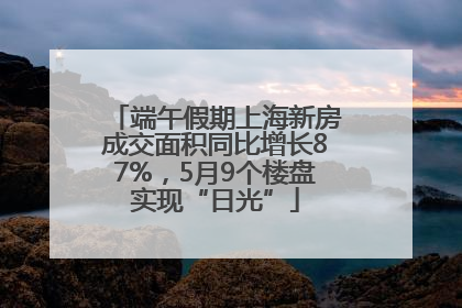 端午假期上海新房成交面积同比增长87%，5月9个楼盘实现“日光”