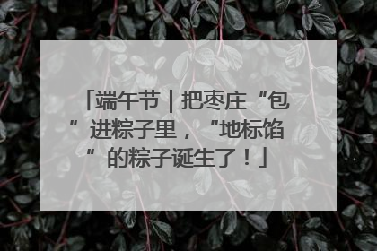端午节｜把枣庄“包”进粽子里，“地标馅”的粽子诞生了！