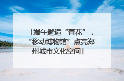 端午邂逅“青花”，“移动博物馆”点亮郑州城市文化空间