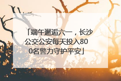 端午邂逅六一，长沙公交公安每天投入800名警力守护平安