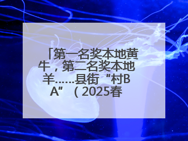 第一名奖本地黄牛，第二名奖本地羊……县街“村BA”（2025春季赛）圆满完赛