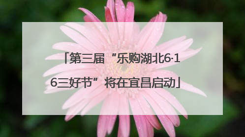 第三届“乐购湖北6·16三好节”将在宜昌启动