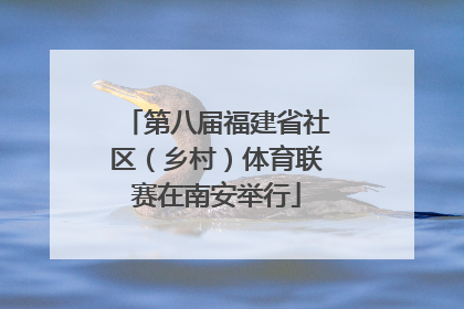 第八届福建省社区（乡村）体育联赛在南安举行