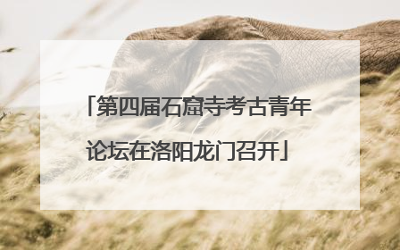 第四届石窟寺考古青年论坛在洛阳龙门召开