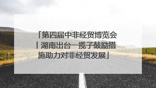 第四届中非经贸博览会丨湖南出台一揽子鼓励措施助力对非经贸发展