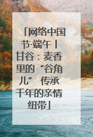 网络中国节·端午丨甘谷：麦香里的“谷角儿” 传承千年的亲情纽带