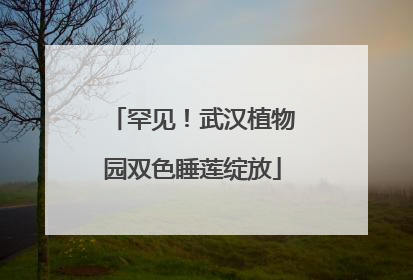 罕见！武汉植物园双色睡莲绽放