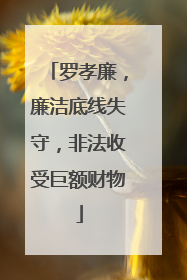 罗孝廉，廉洁底线失守，非法收受巨额财物