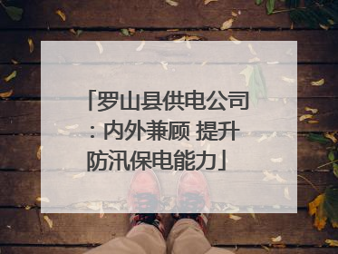 罗山县供电公司：内外兼顾 提升防汛保电能力