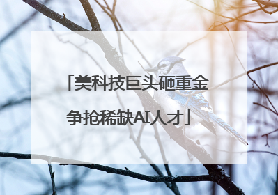 美科技巨头砸重金争抢稀缺AI人才