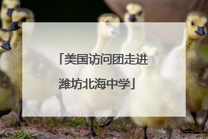 美国访问团走进潍坊北海中学