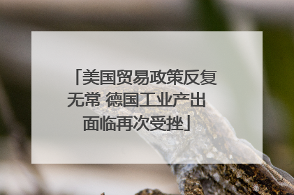 美国贸易政策反复无常 德国工业产出面临再次受挫