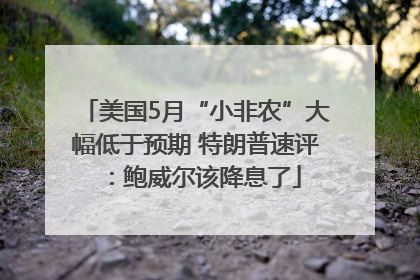 美国5月“小非农”大幅低于预期 特朗普速评：鲍威尔该降息了