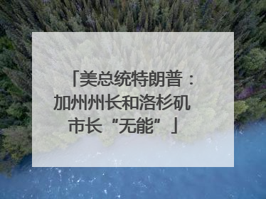 美总统特朗普：加州州长和洛杉矶市长“无能”