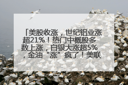美股收涨，世纪铝业涨超21%！热门中概股多数上涨，白银大涨超5%，金油“涨”疯了！美联储官员最新表态