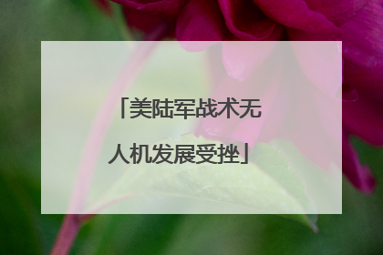 美陆军战术无人机发展受挫