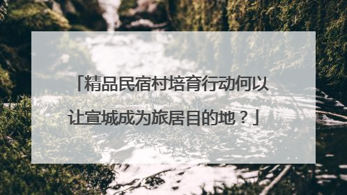 精品民宿村培育行动何以让宣城成为旅居目的地？