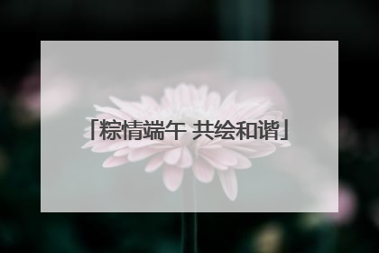 粽情端午 共绘和谐