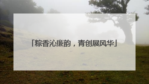 粽香沁廉韵，青创展风华
