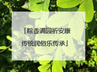 粽香满园祈安康 传统民俗乐传承