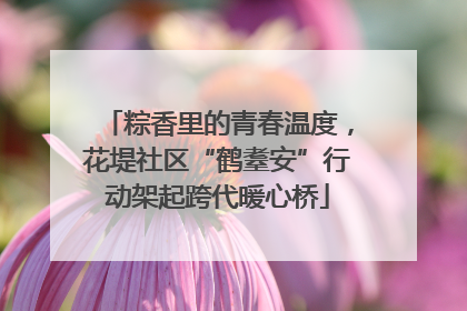 粽香里的青春温度，花堤社区“鹤耋安”行动架起跨代暖心桥
