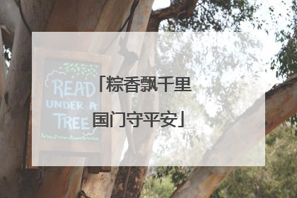 粽香飘千里 国门守平安