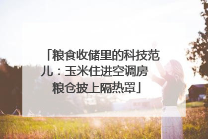 粮食收储里的科技范儿：玉米住进空调房 粮仓披上隔热罩