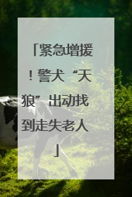 紧急增援！警犬“天狼”出动找到走失老人