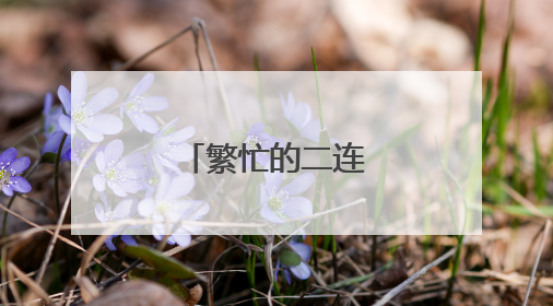 繁忙的二连浩特口岸