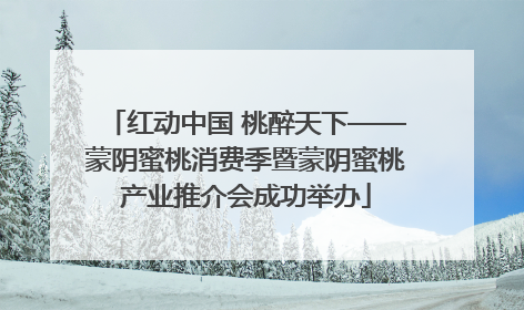 红动中国 桃醉天下——蒙阴蜜桃消费季暨蒙阴蜜桃产业推介会成功举办