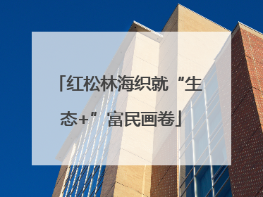 红松林海织就“生态+”富民画卷