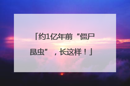 约1亿年前“僵尸昆虫”，长这样！