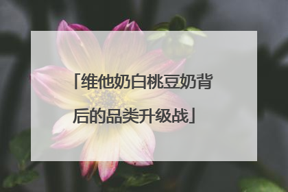 维他奶白桃豆奶背后的品类升级战
