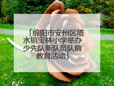 绵阳市安州区塔水镇宝林小学举办少先队新队员队前教育活动