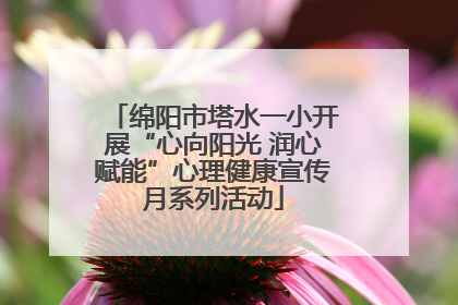 绵阳市塔水一小开展“心向阳光 润心赋能”心理健康宣传月系列活动