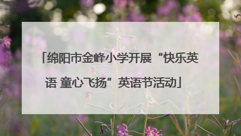 绵阳市金峰小学开展“快乐英语 童心飞扬”英语节活动