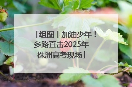 组图丨加油少年！多路直击2025年株洲高考现场